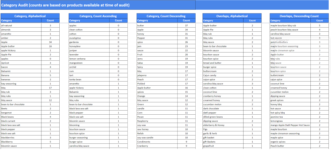 Case Study Audit Data